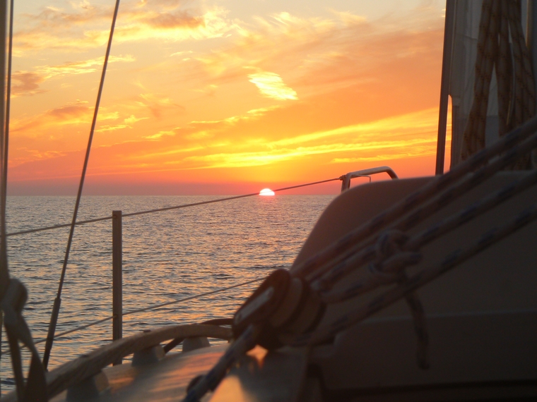 Kypr na obzoru za východu slunce